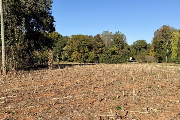 Photo of 77± Acres of Prime Land | Liberty, Randolph County, NC Auction