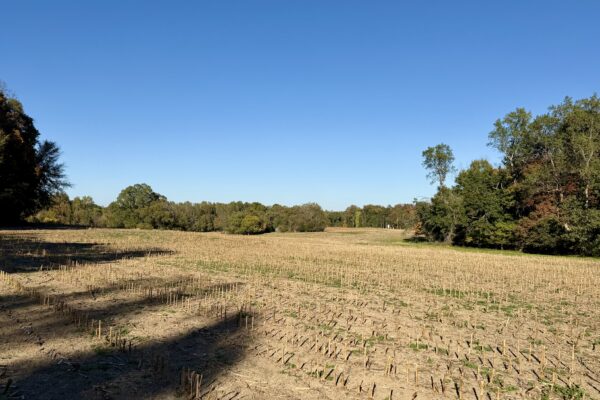 Photo of 77± Acres of Prime Land | Liberty, Randolph County, NC Auction
