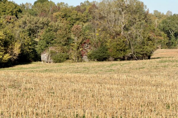 Photo of 77± Acres of Prime Land | Liberty, Randolph County, NC Auction