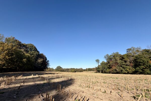 Photo of 77± Acres of Prime Land | Liberty, Randolph County, NC Auction