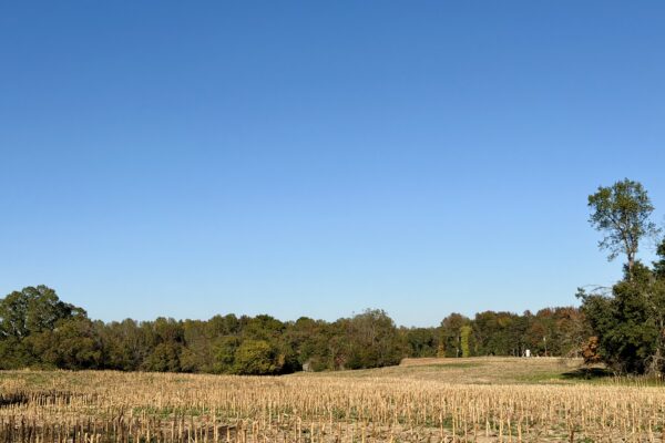 Photo of 77± Acres of Prime Land | Liberty, Randolph County, NC Auction