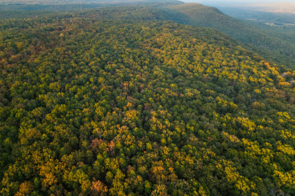 Photo of 72-acres-of-lookout-mountain-land-and-48-mini-warehouse-investment-offering-menlo-chattooga-county-ga-absolute-auction