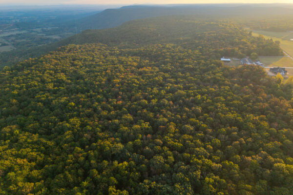 Photo of 72-acres-of-lookout-mountain-land-and-48-mini-warehouse-investment-offering-menlo-chattooga-county-ga-absolute-auction