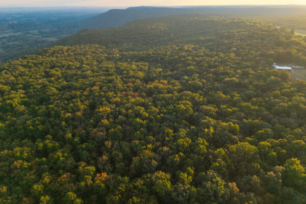Photo of 72-acres-of-lookout-mountain-land-and-48-mini-warehouse-investment-offering-menlo-chattooga-county-ga-absolute-auction