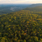 72± Acres of Lookout Mountain Land and 48 Mini Warehouse Investment Offering | Menlo, Chattooga County, GA Absolute Auction