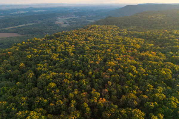 Photo of 72-acres-of-lookout-mountain-land-and-48-mini-warehouse-investment-offering-menlo-chattooga-county-ga-absolute-auction