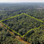 Rare 8± Acres on the Cahaba River | Helena, Shelby County, AL Online Auction